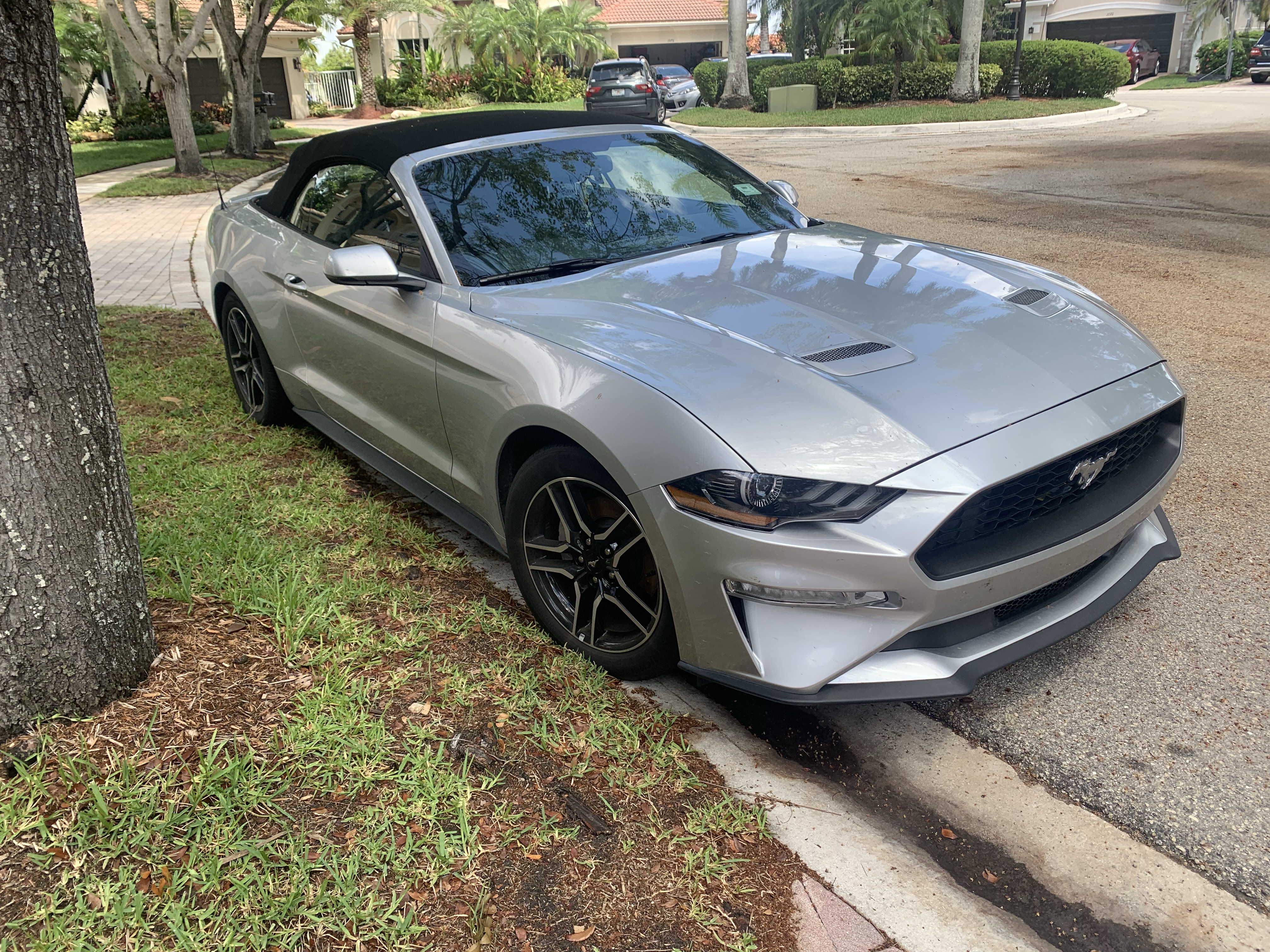 2019 Ecoboost Mustang Convertible (10 speed) – A Fucking Travesty, Bro