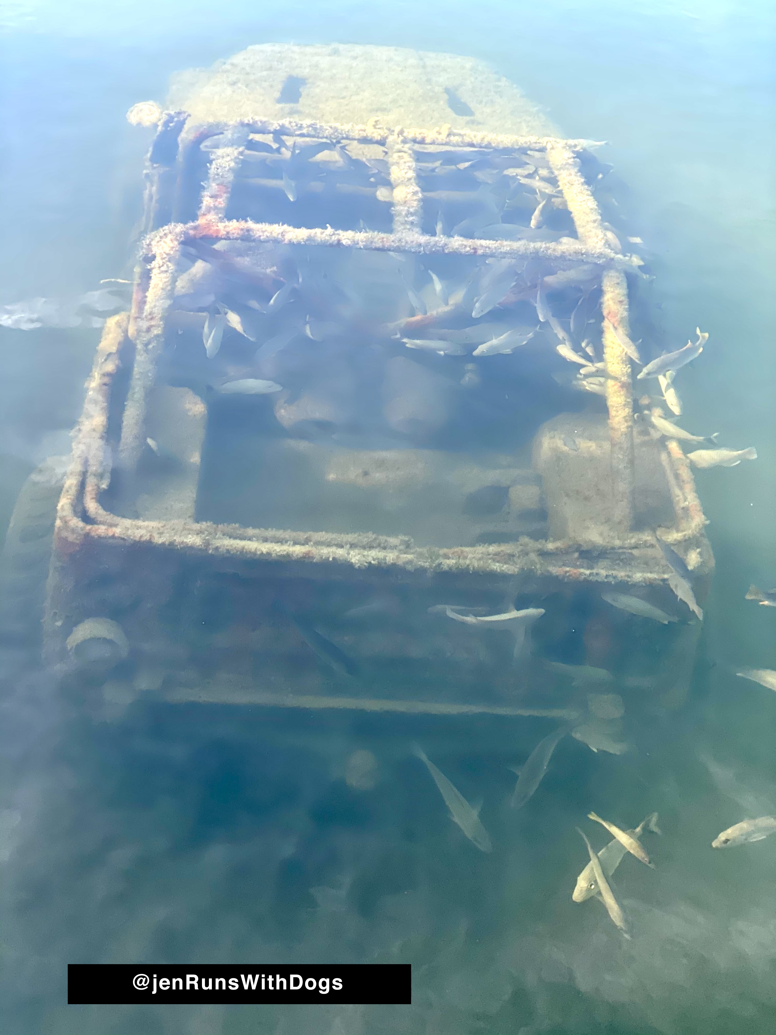 Record Number of Jeeps Swept Out To Sea During Daytona Jeep Beach 2024