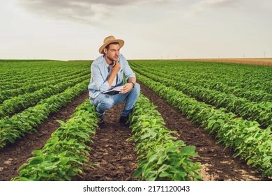 Tales from the Inbox: Needed Advice