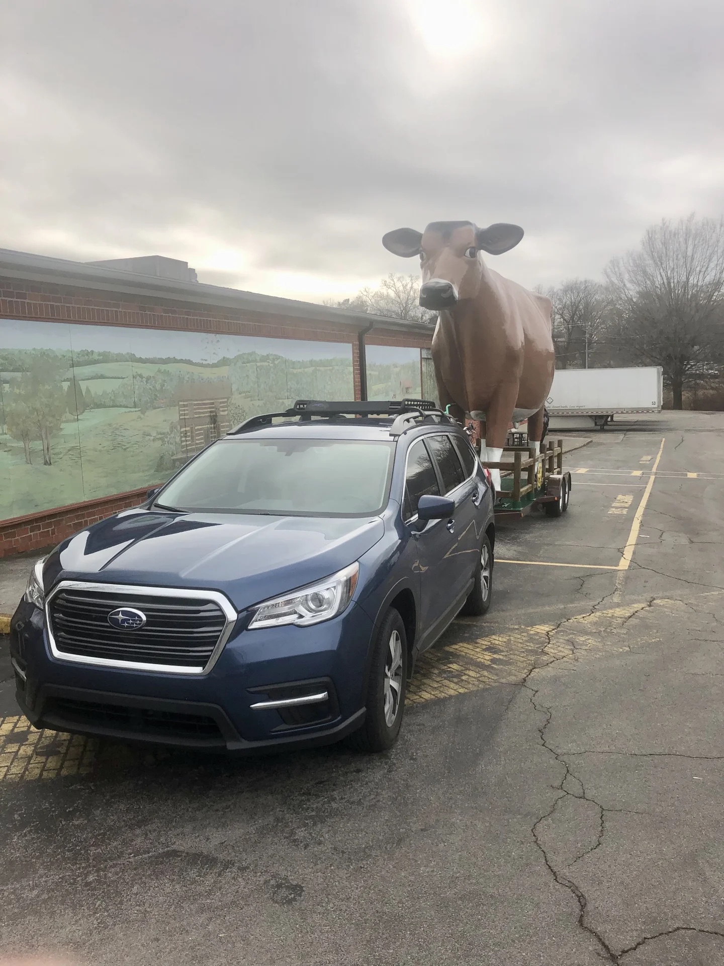 Moo Moo Subaru Has Given My Life Meaning